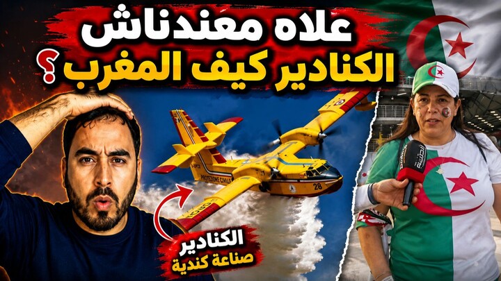 صوفيا بلمان تنتقد الجزائر بسبب طائرات «الكنادير».. لماذا لم يتم شراؤها لإخماد ال