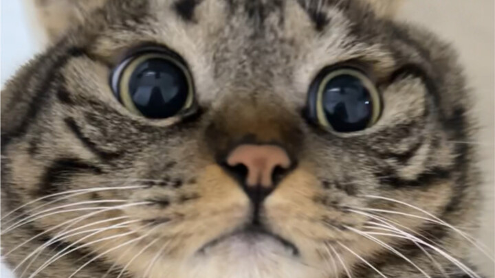 ทุกอิโมจินั้นถูกออกแบบมาอย่างพิถีพิถัน!