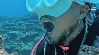 佐川整活日记