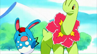 Bulbasaur's battle to become a god, defeating the final evolution in a one-on-two fight!