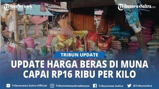 Update Harga Beras di Muna Sulawesi Tenggara 1 Kg Rp16 Ribu, Pedagang Sebut Naik Bertahap Sejak 2023