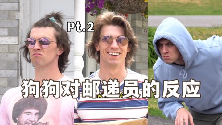 不同品种的狗狗对邮递员的反应 Pt.2