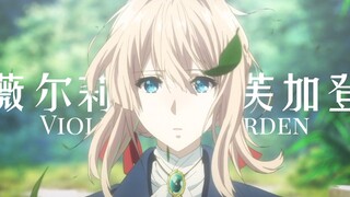 以此片纪念，那位宛如神明一样的少女［薇尔莉特·伊芙加登］