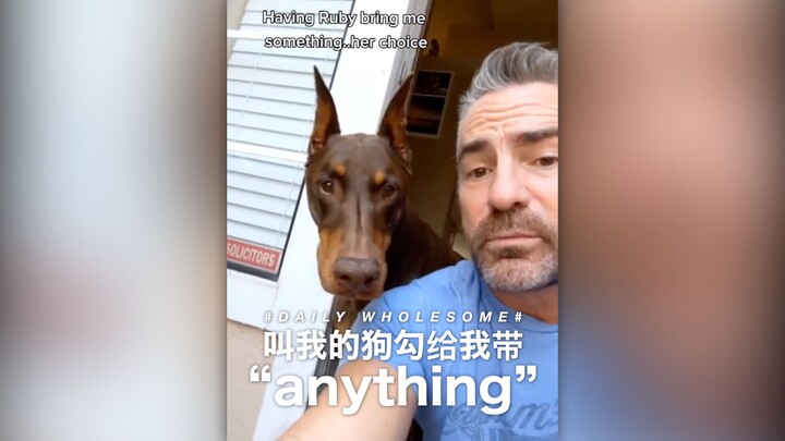 Have my pupper bring me “anything”!