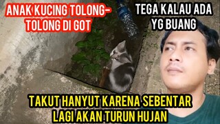 Astagfirullah Anak Kucing Di Buang Minta Tolong Di Got Hampir Hanyut Mau Hujan Besar..!