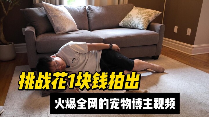 “Khi tôi bắt chước các video thú cưng nổi tiếng trên mạng”: Một ngày ngất xỉu 50 lần!