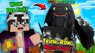 MINECRAFT SIÊU BÍ KÍP LUYỆN RỒNG - TẬP 23 | ĐI TÌM RỒNG NIGHT FURY CỰC HIẾM VÀ ĐÁNH BẠI TÀU HẢI TẶC