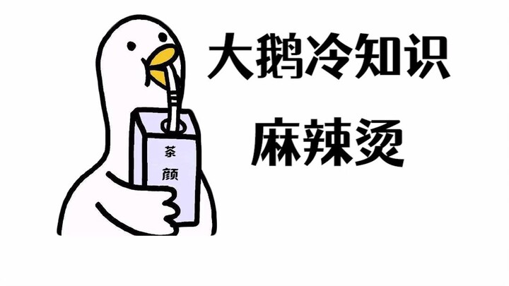 Từ hôm nay trở đi, bữa tối sẽ là mì cay rồi!