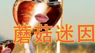 Đừng giẫm lên nấm Thiên Tân