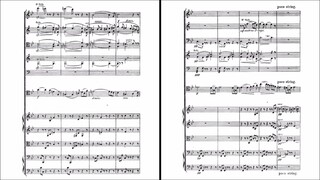 Vincent d'Indy - Lied for cello and orchestra Op. 19 (audio + sheet music)