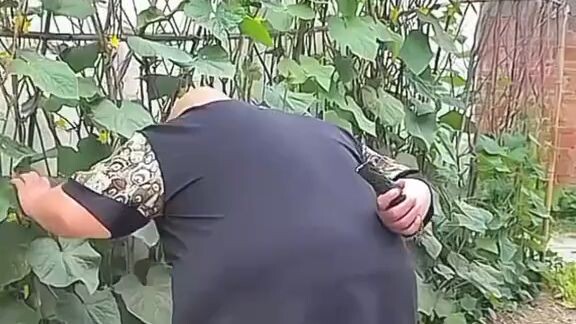 funny 🤣🤣🤣🤣🤣🤣🤣🤣🤣🤣🤣🤣 video please follow me