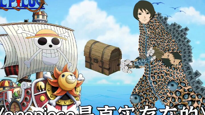 孩子们，我找到onepiece了🤓