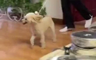 This little brother can’t stay much longer…