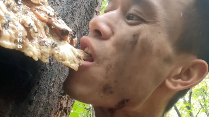 进了山就是放开了吃