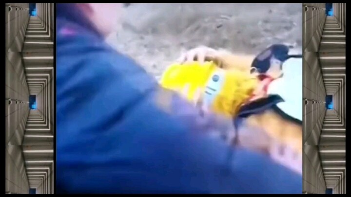 R Star sản xuất, nhất định là hàng chất lượng cao!