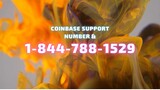 Coinbase Support Number & 1-844-788-1529
