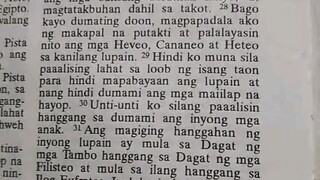 Pang Araw Araw na Talata                Exodus 23:31-32