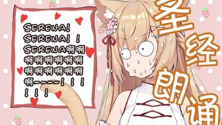 【猫猫剪辑】圣经朗读花园猫