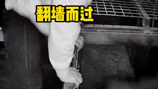 这狂暴模式也一般般啊