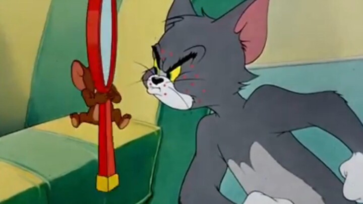 kartun anak Tom and Jerry  flue tom prank