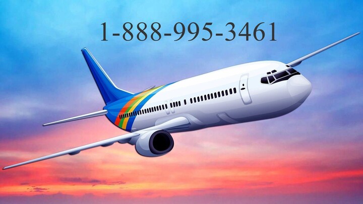 How do I talk to someone on Airbnb? [[US/OTA]] — (Live Person))