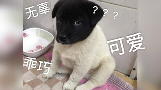 这生着生着咋没墨了呢？