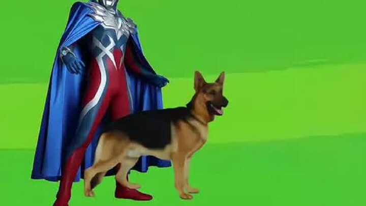 Phim hoạt hình trẻ em Ultraman hoạt hình hai chiều dành cho trẻ em