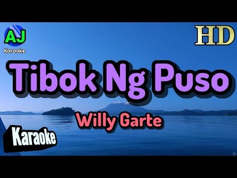 TIBOK NG PUSO - WIlly Garte | KARAOKE HD