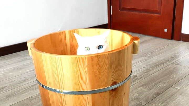 Thế này mà định nhốt tôi hả??