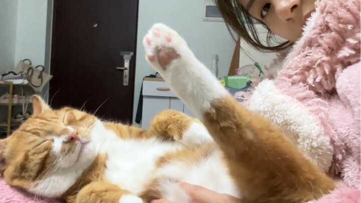 Kue telur suka cari tempat untuk tidur kok!