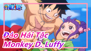 [Đảo Hải Tặc AMV/Monkey D. Luffy] Tao sẽ không ngã xuống cho đến khi tao đánh bại mày!