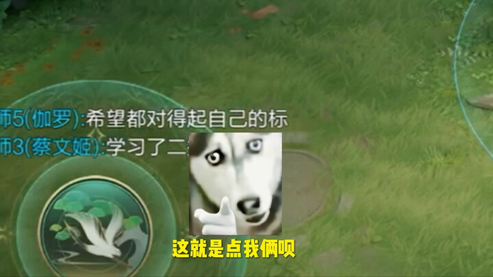 伽罗：希望都对得起自己的标