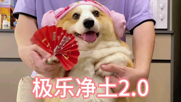 Pipi's Hot Dance | Pure Land 2.0