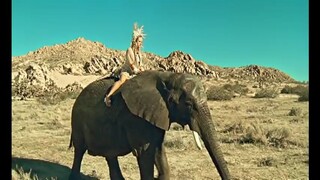 Kesha Your love is my drug