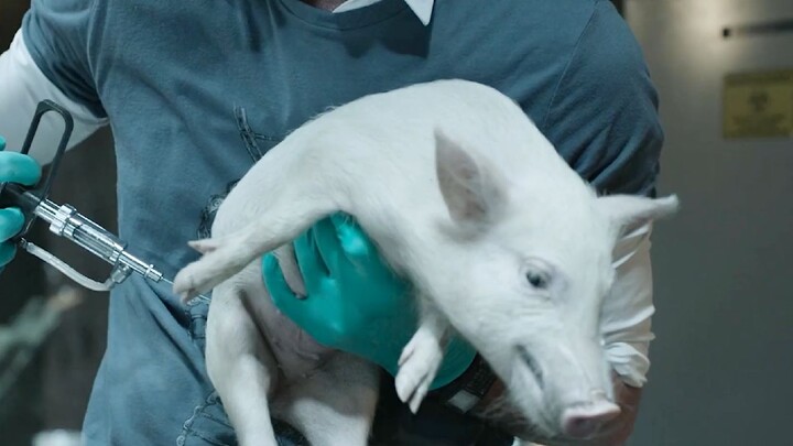 Part 1: An experimental base conducts tests on piglets, resulting in an accidental virus leak.