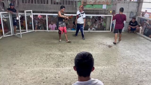 libangan ko Ikaw anong libangan mo #hatchgreeyy