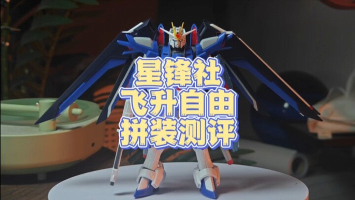 星锋社飞升自由测评来啦