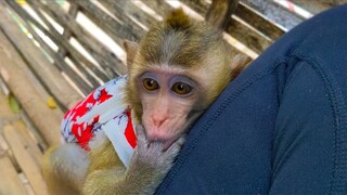 Tiny Toto is feeling not well after eating that grape, She comes to Mom to take care her