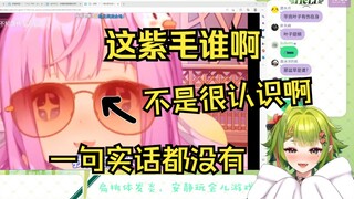 【河黎有片小叶子】这紫毛谁啊？真不认识！