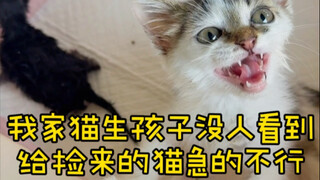罗宾：你觉得这场面好看吗……
