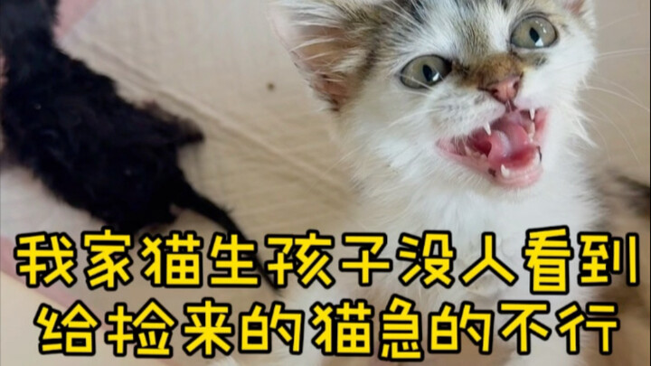 罗宾：你觉得这场面好看吗……