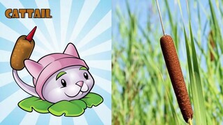 All Plants Vs Zombies Upgrades In REAL Life!