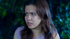 333 Ganteng-Ganteng Serigala