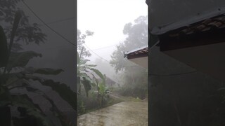 SUASANA SORE || JANUARY RAIN‼️