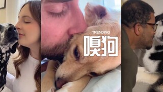 现在是嗅狗时间‼️大家快嗅嗅‼️