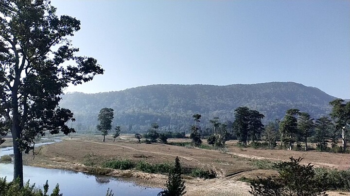 Nature view