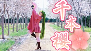 『千本樱初音cos/千本桜』  振幅【紫音リア】  好耶 是春日限定文艺复兴！(/≧▽≦)/~┴┴