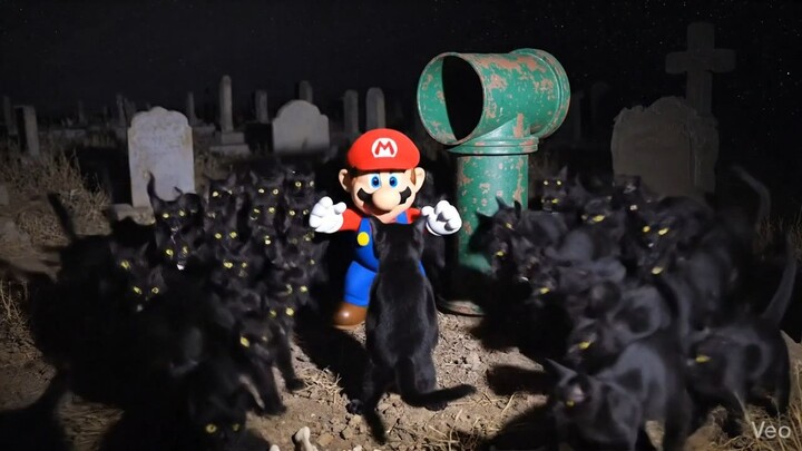 horror  -The black cat- in the cemetery vs sonic