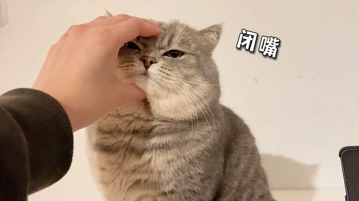 听取蛙声一片（请适当调节音量）