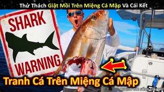 Buổi Đi Câu Bất Ổn Khi Phải Tranh Cá Trên Miệng Cá Mập Cực Kinh Dị || Review Giải Trí Đời Sống